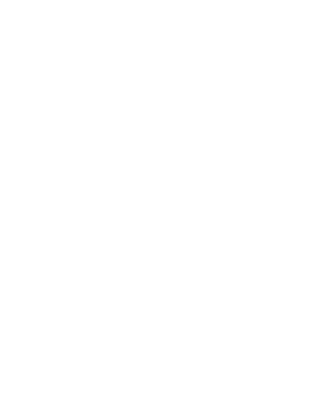 Google recognition badge